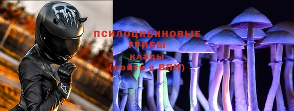 ECSTASY Козельск
