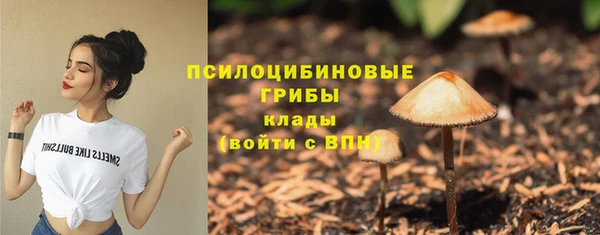 скорость mdpv Козловка