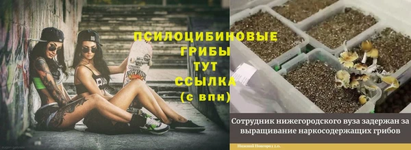 ECSTASY Козельск
