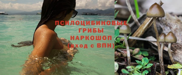 ECSTASY Козельск