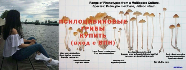 гашишное масло Кодинск