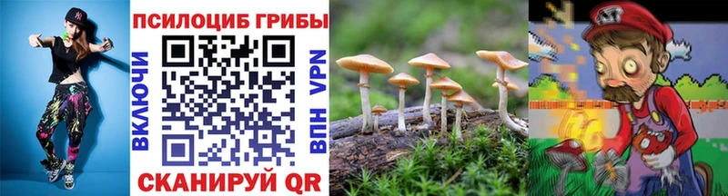 Псилоцибиновые грибы Cubensis  Купить  Королёв 